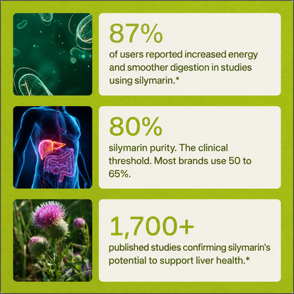 Anuvion Milk Thistle Power