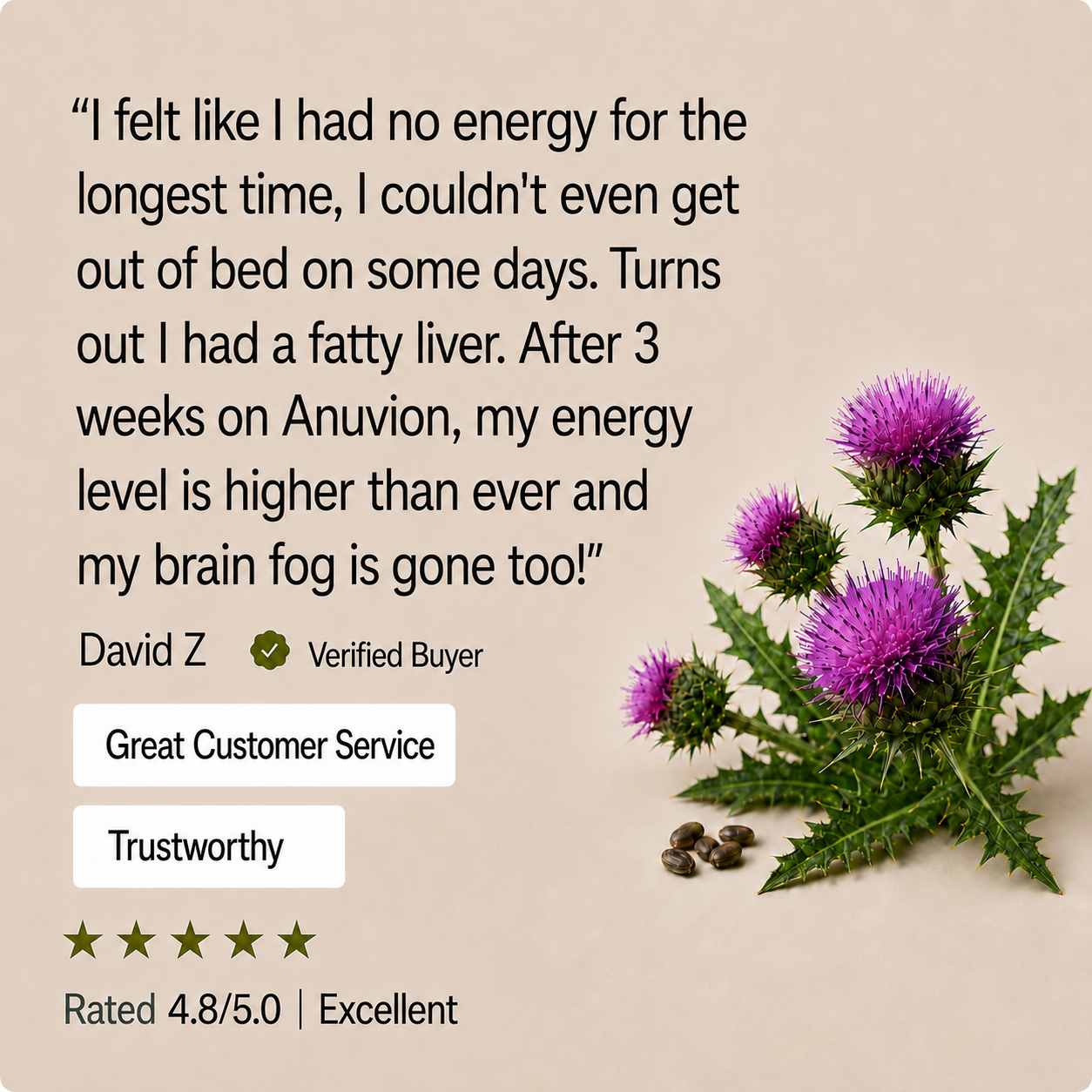 Anuvion Milk Thistle Power